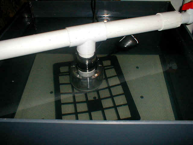 P9010019.JPG (62012 bytes)