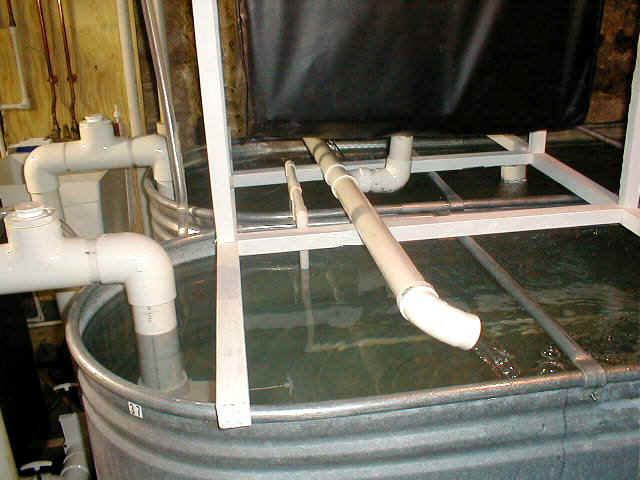 P9010023.JPG (77289 bytes)