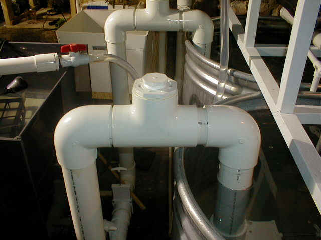 P9010031.JPG (59081 bytes)