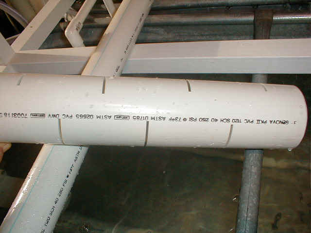 P9010033.JPG (59119 bytes)