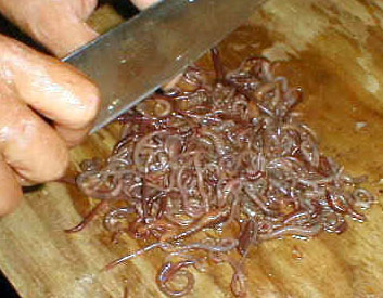 cutting_small_worms.JPG (85464 bytes)