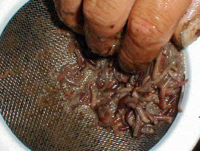 pressing_pieces_1.JPG (91937 bytes)